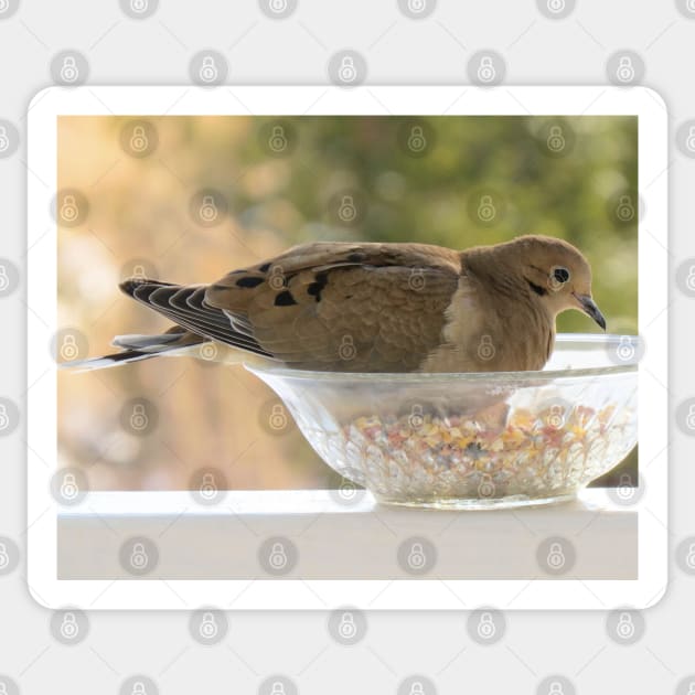 Mourning Dove No.5 Sticker by MaryLinH